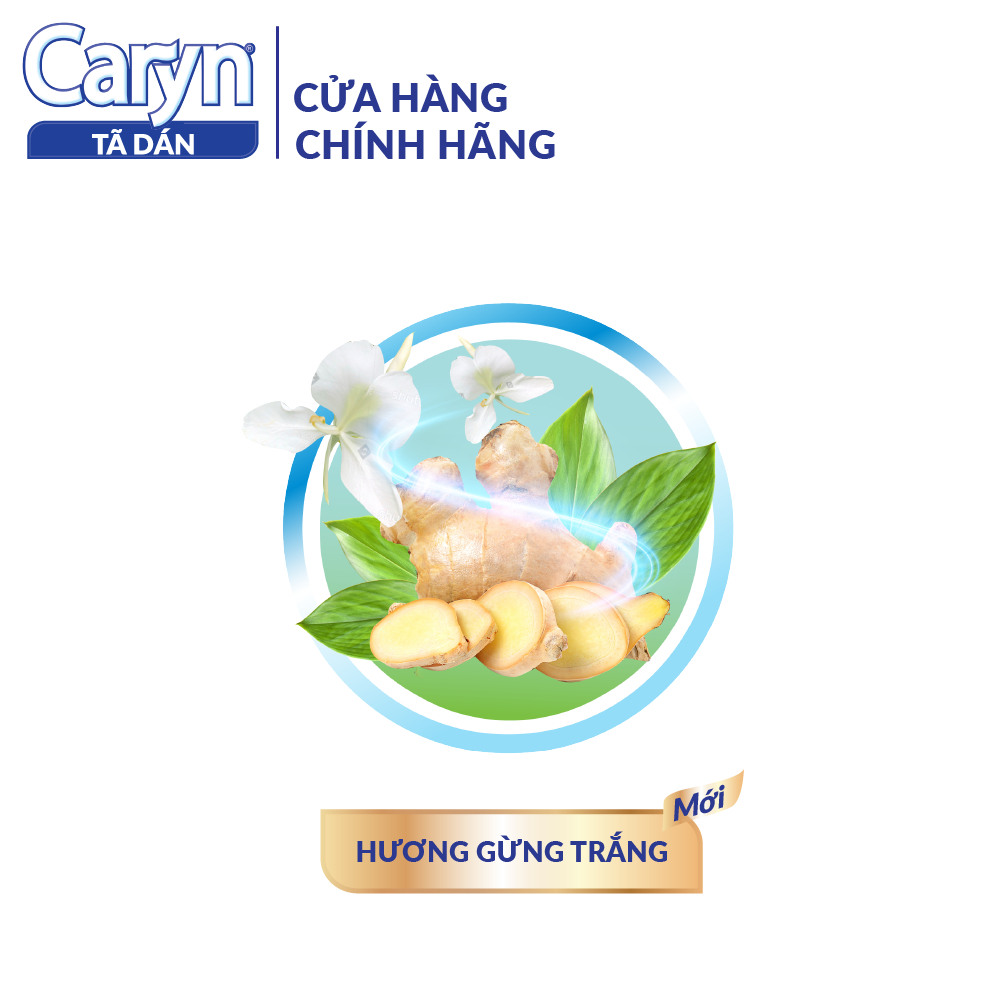 Bịch 3 miếng Caryn size L/Caryn L3 cho mẹ sau sinh