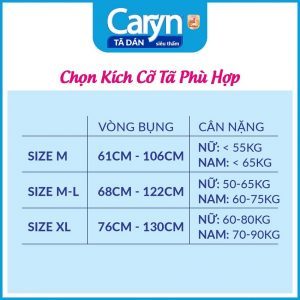 Bịch 3 miếng Caryn size L/Caryn L3 cho mẹ sau sinh