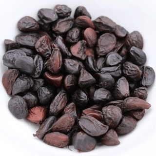 Hạt Dổi đặc sản Tây Bắc dùng làm gia vị, dược liệu .