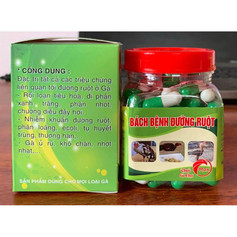 BÁCH BỆNH ĐƯỜNG RUỘT - CHỮA BỆNH ĐƯỜNG RUỘT CHO GÀ - HŨ 100 VIÊN