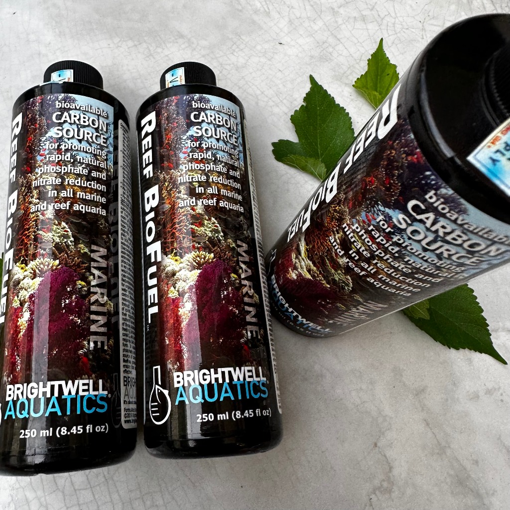 Vi sinh cao cấp bể mặn & ngọt MicroBacter7 l Clean l Reef BioFuel