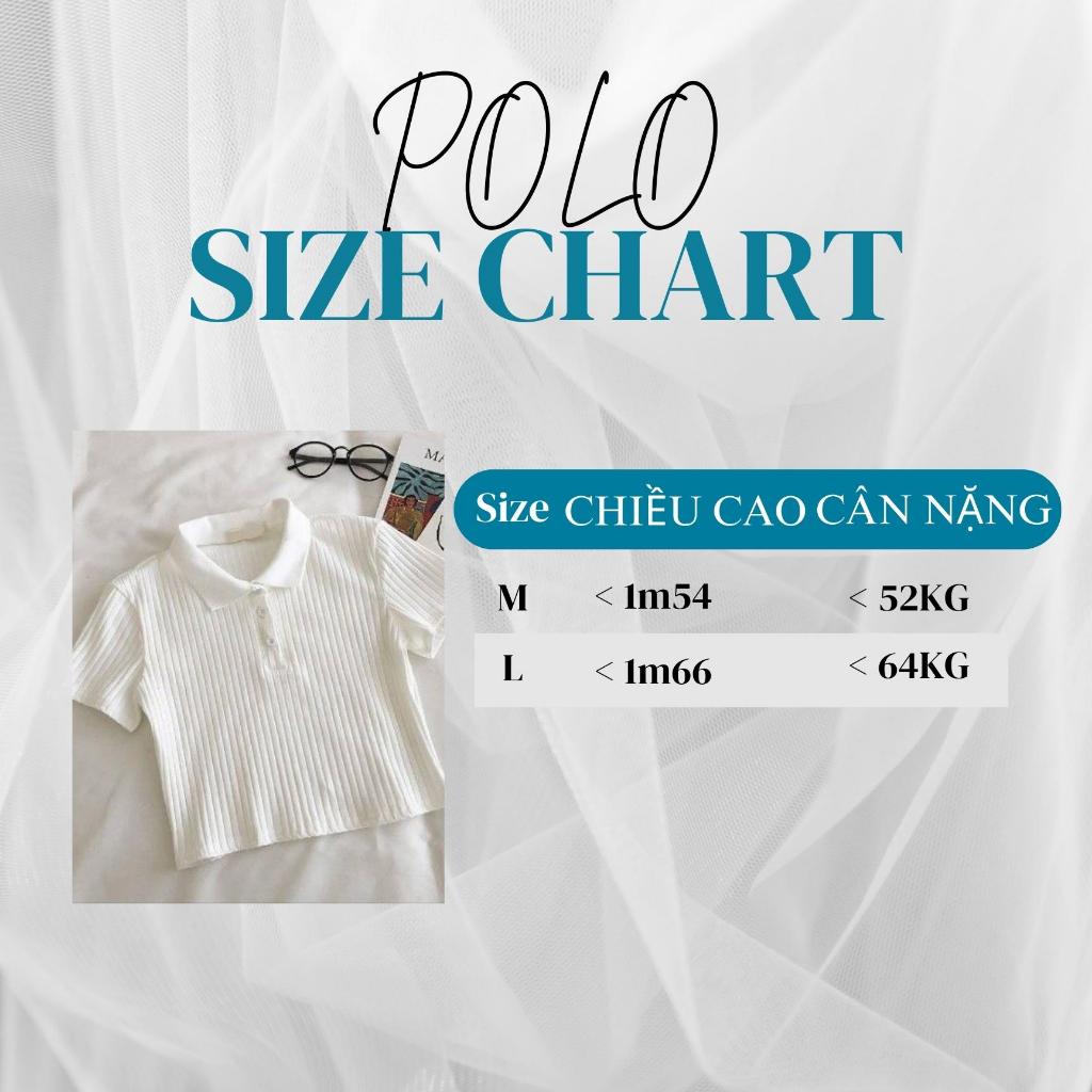 Áo thun, áo thun nữ, chất vải thun tăm mềm co giãn 4 chiều mặc thoải mái thoáng mát