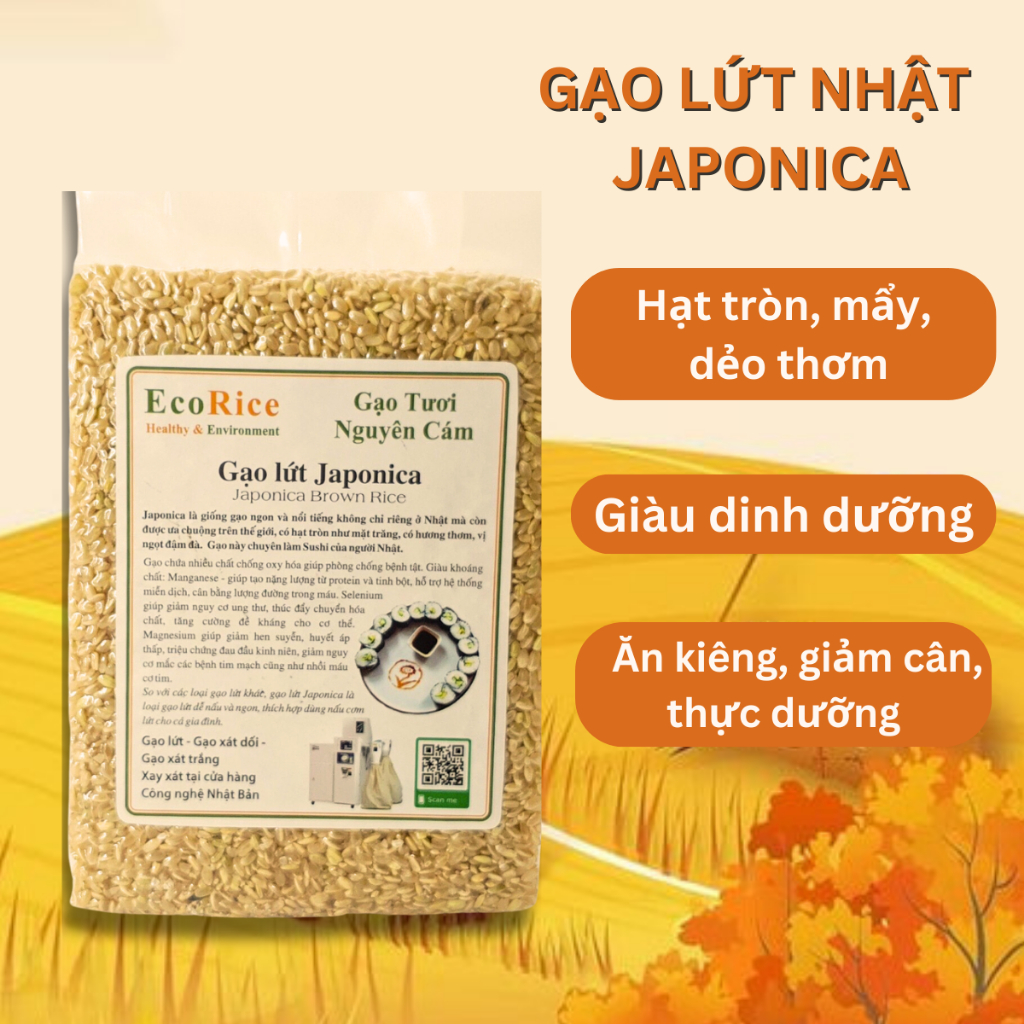 Gạo lứt Nhật Japonica Anfood túi 1kg hạt mẩy, dẻo thơm.