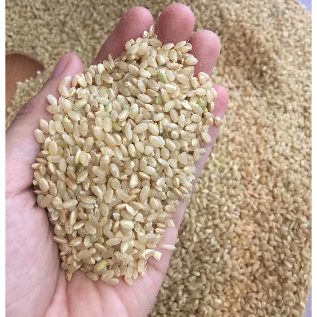 Gạo lứt Nhật Japonica Anfood túi 1kg hạt mẩy, dẻo thơm.