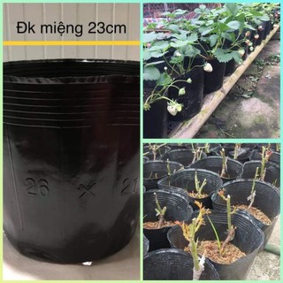 1c bầu ươm 26*21 trồng cây - có thể tái sử dụng nhiều lần