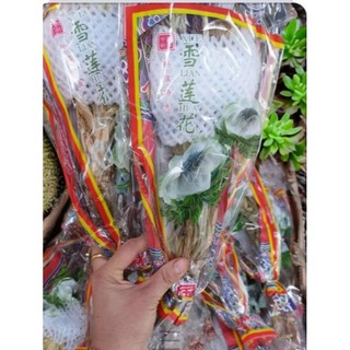 THIÊN SƠN TUYẾT LIÊN HOA 1 BÔNG