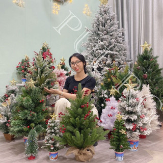 Cây thông noel mini để bàn xinh xắn sẵn phụ kiện trên cây trang trí decor giáng sinh