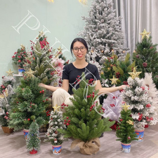    XMAS   Cây thông noel 1m2 90cm 60cm mini để bàn đủ loại trang trí giáng sinh Noel 