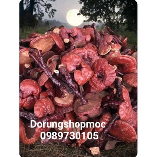 Nấm linh chi đỏ 1kg hàng việt nam chất lượng cao