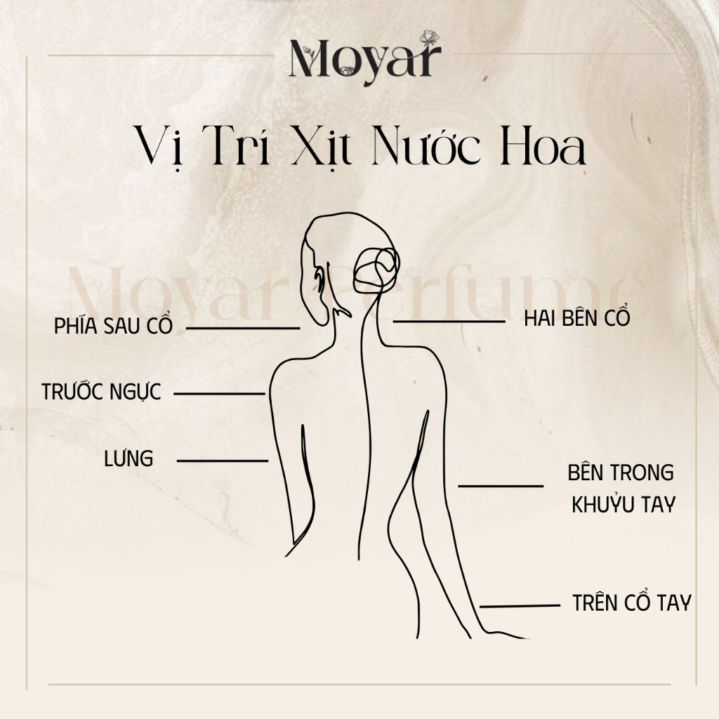 10ml Ver Yellow Diamond EDT | Nước hoa nữ