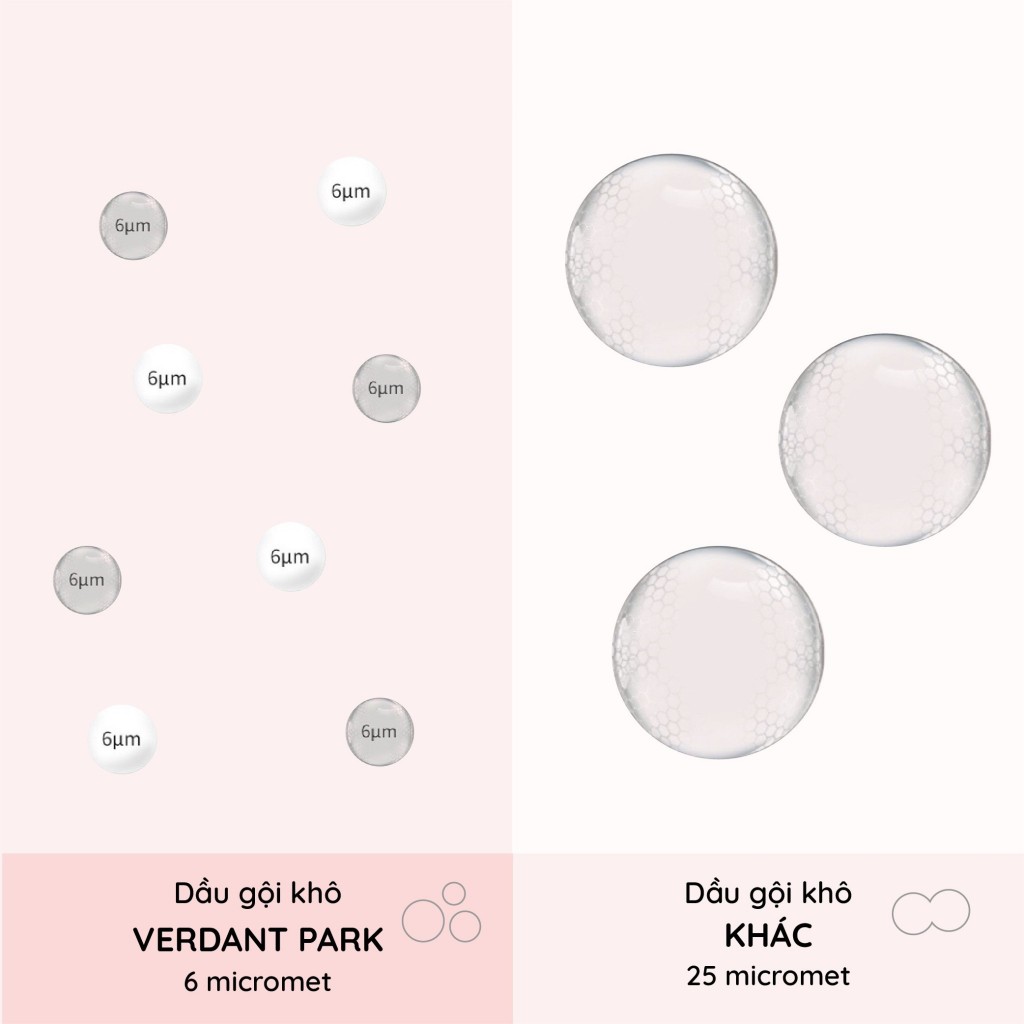 Xịt khô phồng tóc VERDANT PARK dầu gội khô kiềm dầu lâu bết mùi hoa chuông xanh Bluebell & Cedar | ANGELSKIN