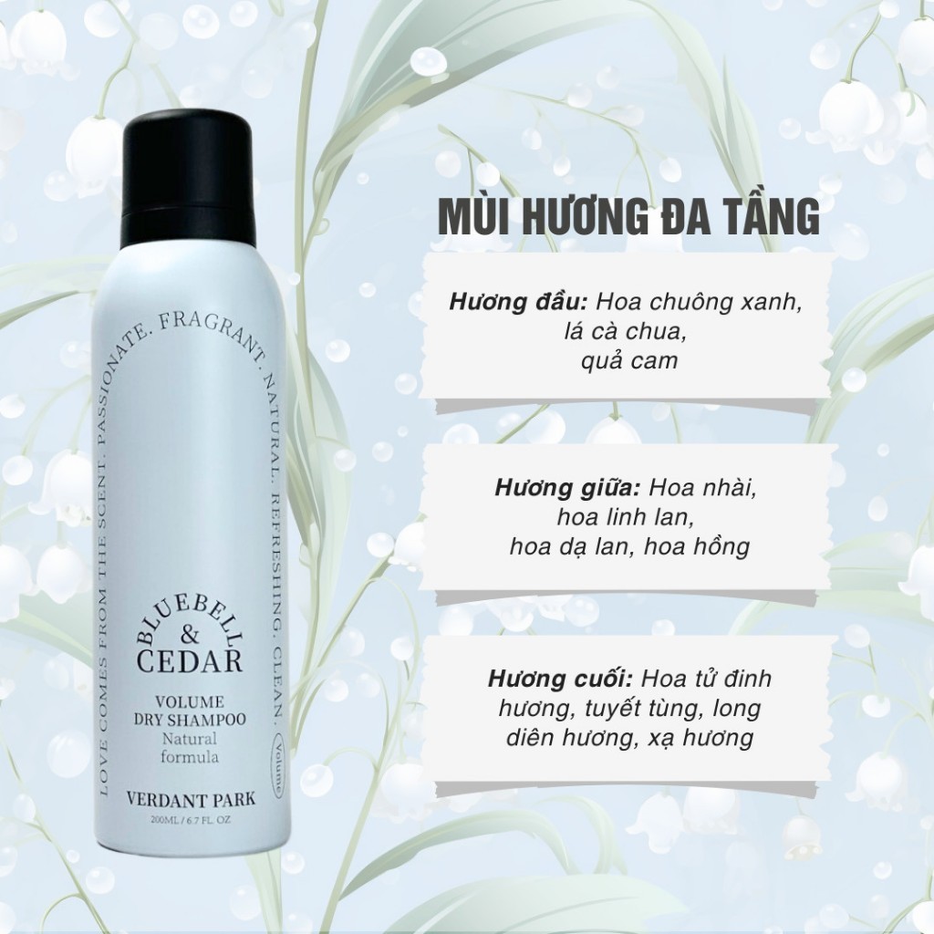 Xịt khô phồng tóc VERDANT PARK dầu gội khô kiềm dầu lâu bết mùi hoa chuông xanh Bluebell & Cedar | ANGELSKIN