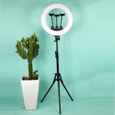 Đèn Livestream Size 36cm Kèm Giá Đỡ Cao 2,1m, Đèn Led Quay Video, Chụp Hình
