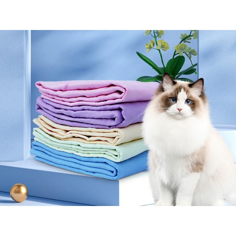 Khăn Tắm Thú Cưng Siêu Thấm Hút, Kích Thước 66x43cm và 43x32cm Chất Liệu Vải Xốp Siêu Thấm