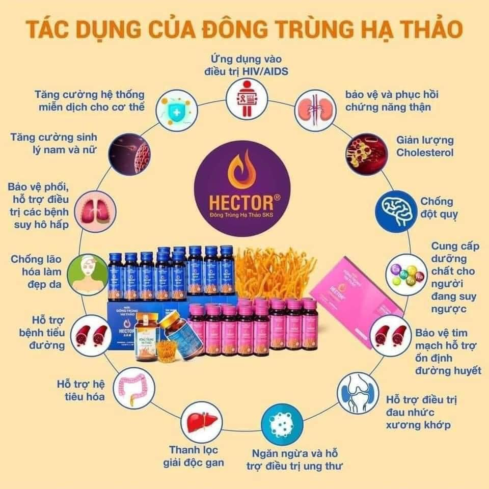 Đông trùng hạ thảo Hector- Viên nang- Tăng đề kháng, tăng sinh lý