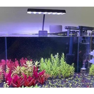 Đèn Led Neo Helios  FLAT S3 Plus I Dùng Đánh Màu Cá, Không Đổi Màu Nước