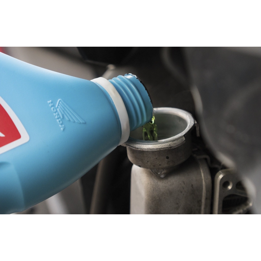 Nước làm mát Honda Pre-mix Coolant chính hãng - Nhập khẩu Thái Lan