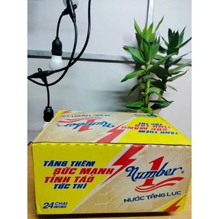Lốc 6 chai Number one 330ml