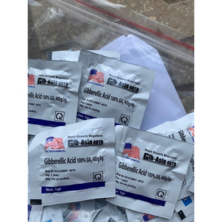 GA3 kích thích sinh trưởng- bật chồi- nảy mầm