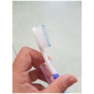 Bàn chải đánh răng thái lan