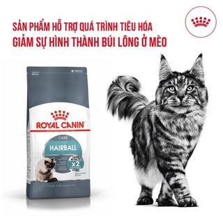 Thức ăn hạt tiêu hóa búi lông của Royal canin dành cho mọi loại mèo