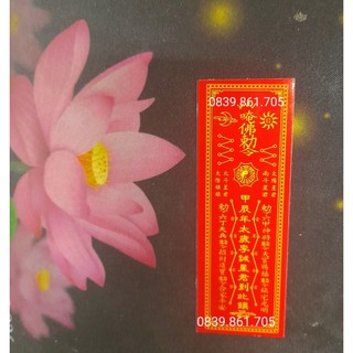 Phù thái tuế 2024