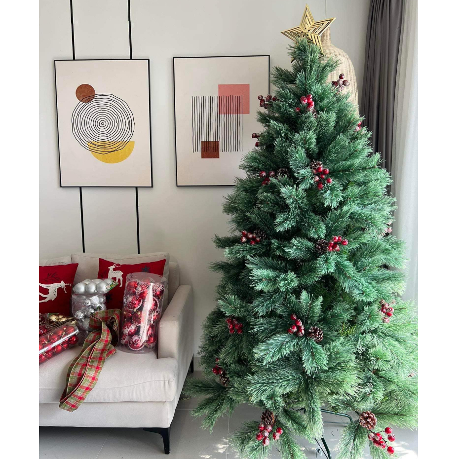 Cây Thông Cước Nở Hoa Gắn Trái Đỏ Và Trái Thông Cây Thông Noel Cao Cấp Mã A6N Trang Trí Giáng Sinh Công Ty, Khách Sạn