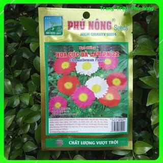Hạt giống hoa cúc đà lạt pn-22 - gói 0.5g - chrysanthemum flower