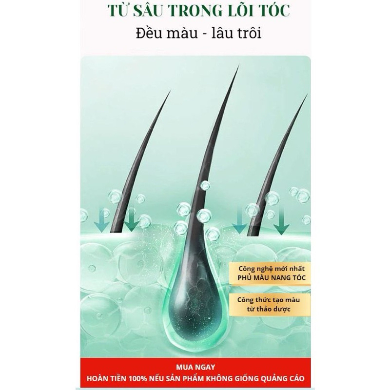 Dầu Gội Nhuộm Tóc Thảo Dược Helloii Bubble, Phủ Bạc Nâu Hạt Dẻ, Không Tẩy Tóc, Bền Màu 230ml