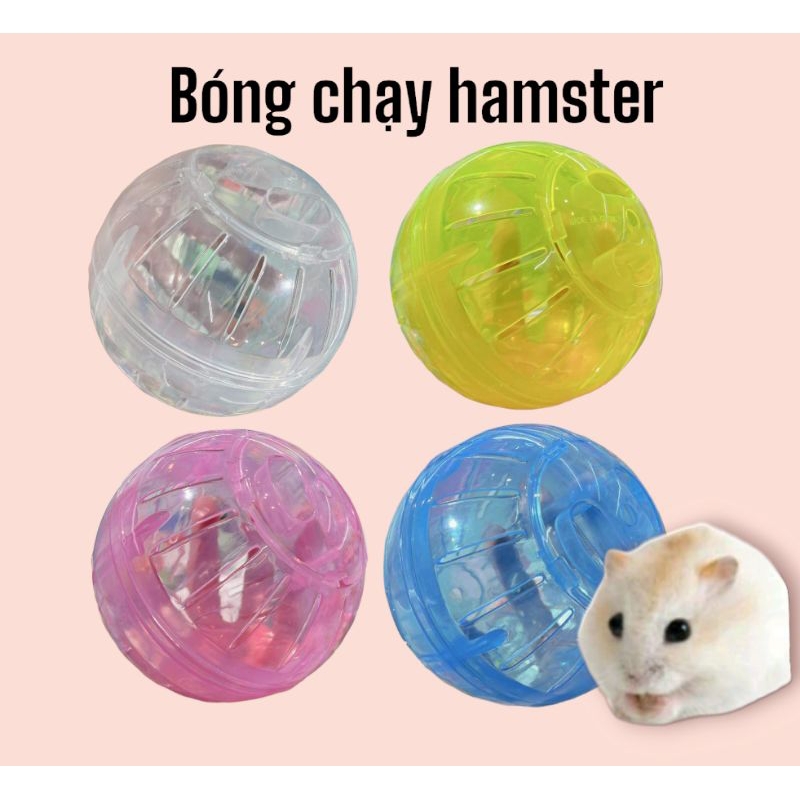 Bóng chạy trong suốt cho hamster 10cm