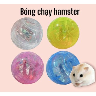 Bóng chạy trong suốt cho hamster 10cm