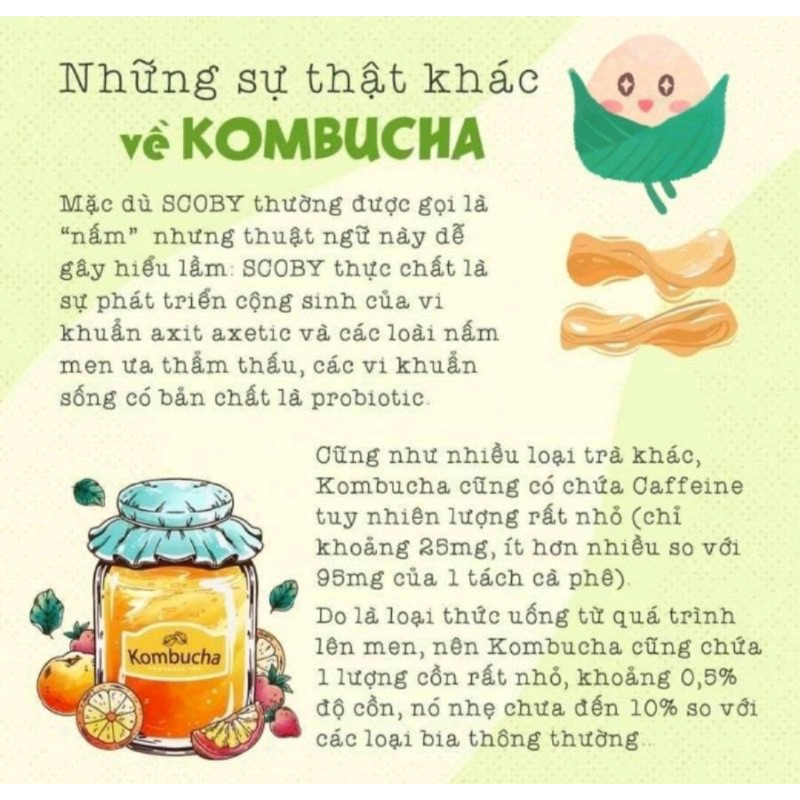 Trà lên men Kombucha 1 Lít/500ml - chứa lợi khuẩn,men vi sinh