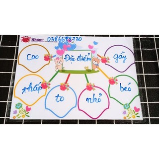 Sơ đồ tư duy ép plastic viết xóa được