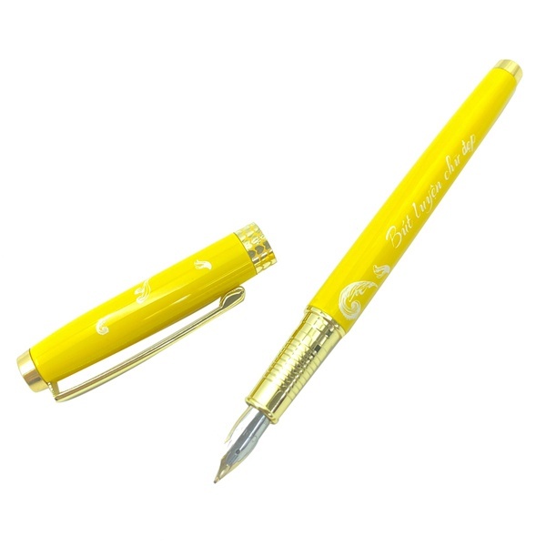 Bút máy luyện chữ đẹp học sinh nét thanh đậm ngòi mài cao cấp Deli Q897 viết êm - Tặng kèm 1 ngòi thay thế CQ897