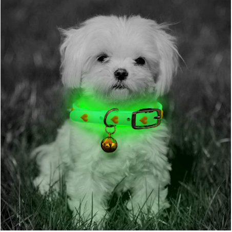 Vòng Đeo Cổ Bằng Silicon Phát Sáng Dạ Quang Ban Đêm Có Chuông Chống Thất Lạc Cho Chó Mèo Thú Cưng