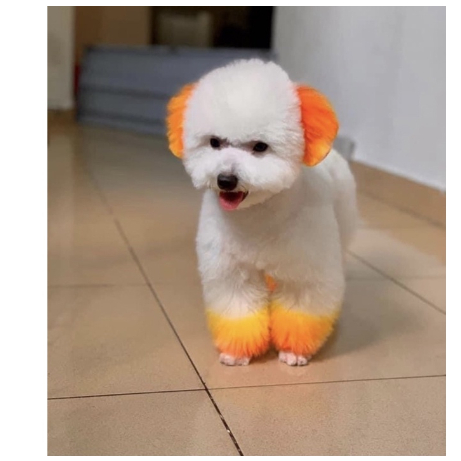 Th.uốc Nhuộm Lông Chó Mèo Thú Cưng BROOKLYN Cao Cấp, Lành Tính An Toàn Cho Cho Thú Cưng Tuýp 80g