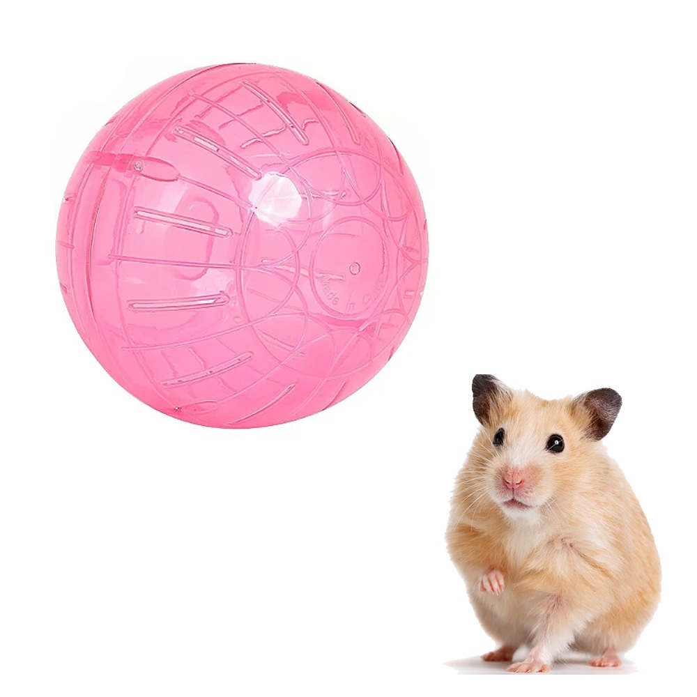Bóng Chạy Cho Chuột Hamster Bằng Nhựa - Bóng Chạy Cho Hamster-Rat-Đuôi Mập