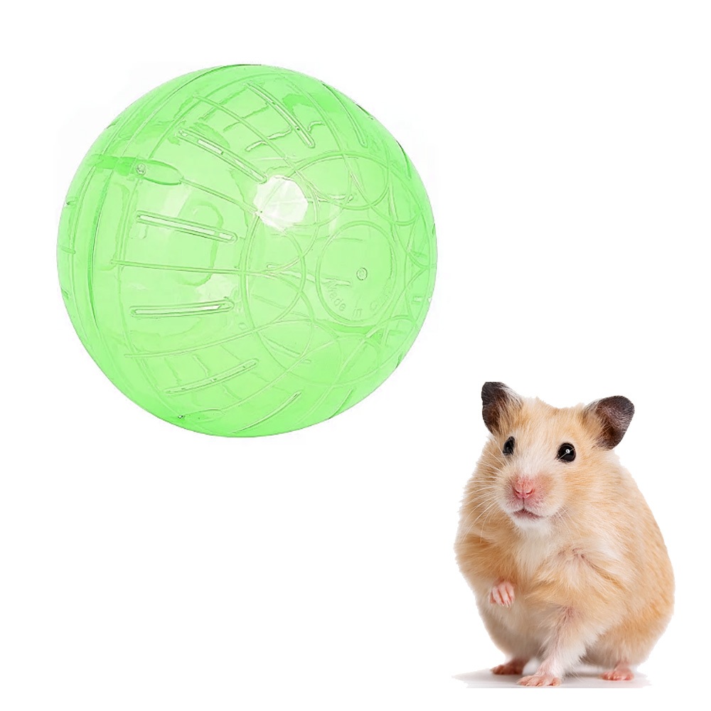 Bóng Chạy Cho Chuột Hamster Bằng Nhựa - Bóng Chạy Cho Hamster-Rat-Đuôi Mập