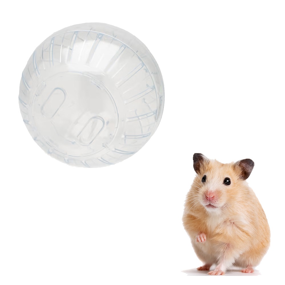 Bóng Chạy Cho Chuột Hamster Bằng Nhựa - Bóng Chạy Cho Hamster-Rat-Đuôi Mập