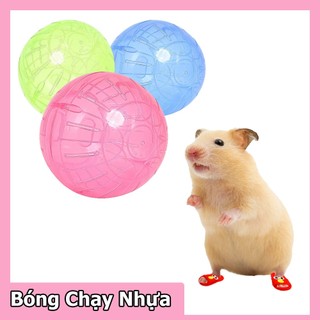 Bóng Chạy Cho Chuột Hamster Bằng Nhựa - Bóng Chạy Cho Hamster-Rat-Đuôi Mập