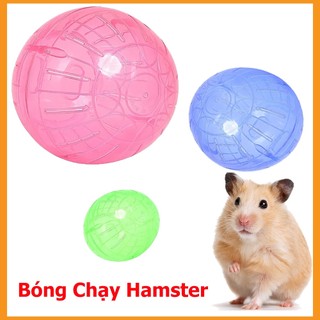 Bóng Chạy Nhựa Nhiều Size Cho Hamster-Rat-Đuội Mập