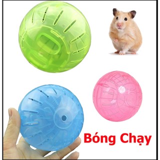 Bóng Chạy Nhựa Cho Hamster-Rat-Đuôi Mập