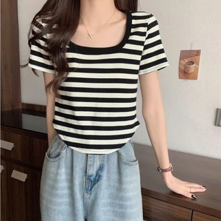  Áo Thun Nữ Bigsize 50-95kg Cổ Vuông Chất Thun Gân Tăm Sọc Ngang Trẻ Trung Cho Nàng Múp Xinh 
