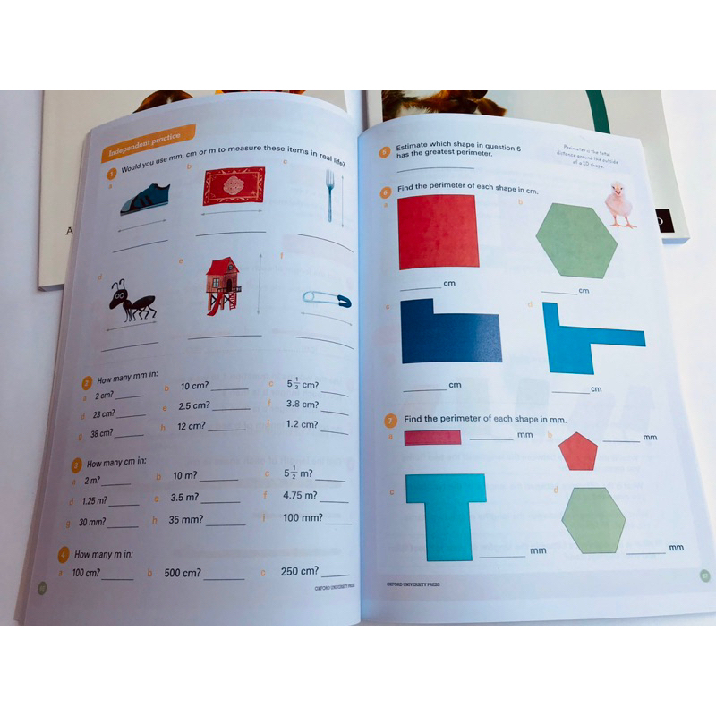 Oxford Mathematics Primary Years Programme level K-6