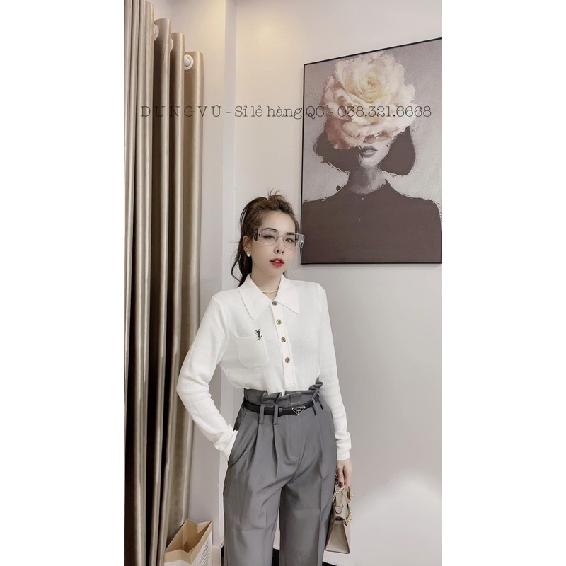 Áo len polo dài tay 6 màu -YSL