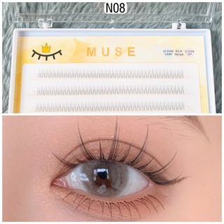 Lông Mi Muse cụm tách sợi đủ mã