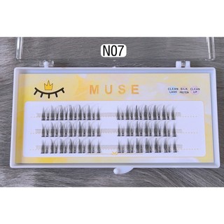 Lông Mi Muse cụm tách sợi đủ mã