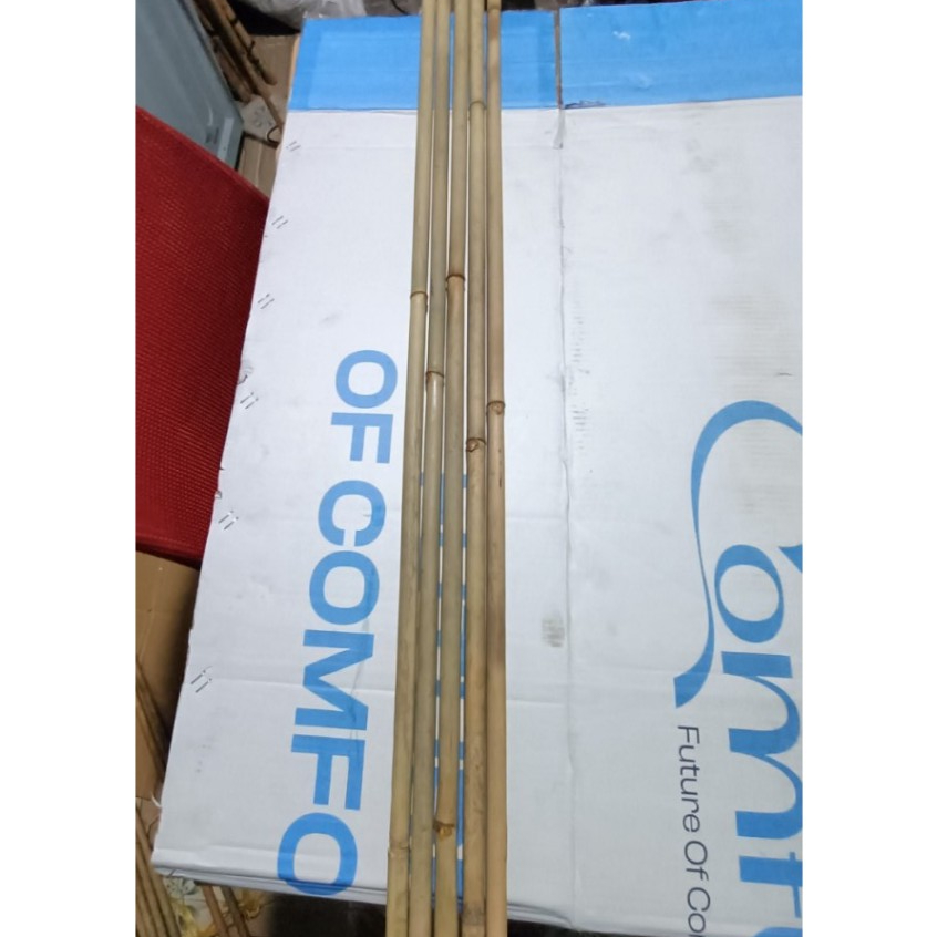 Tre trúc nhỏ làm cán cờ ngọn1,3cm gốc1,3cm Combo 5 cây dài 1m,1m20 1m50  Trúc làm hàng rào làm bano