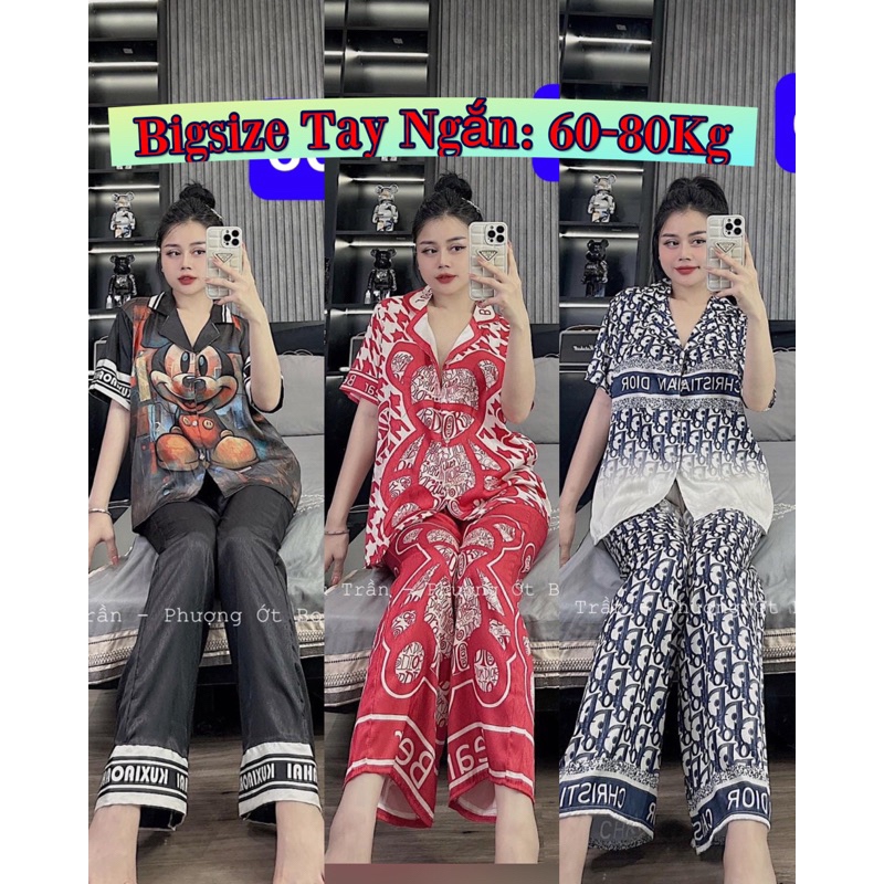 (60-80kg) pizama xước bigsize tay ngắn quần dài