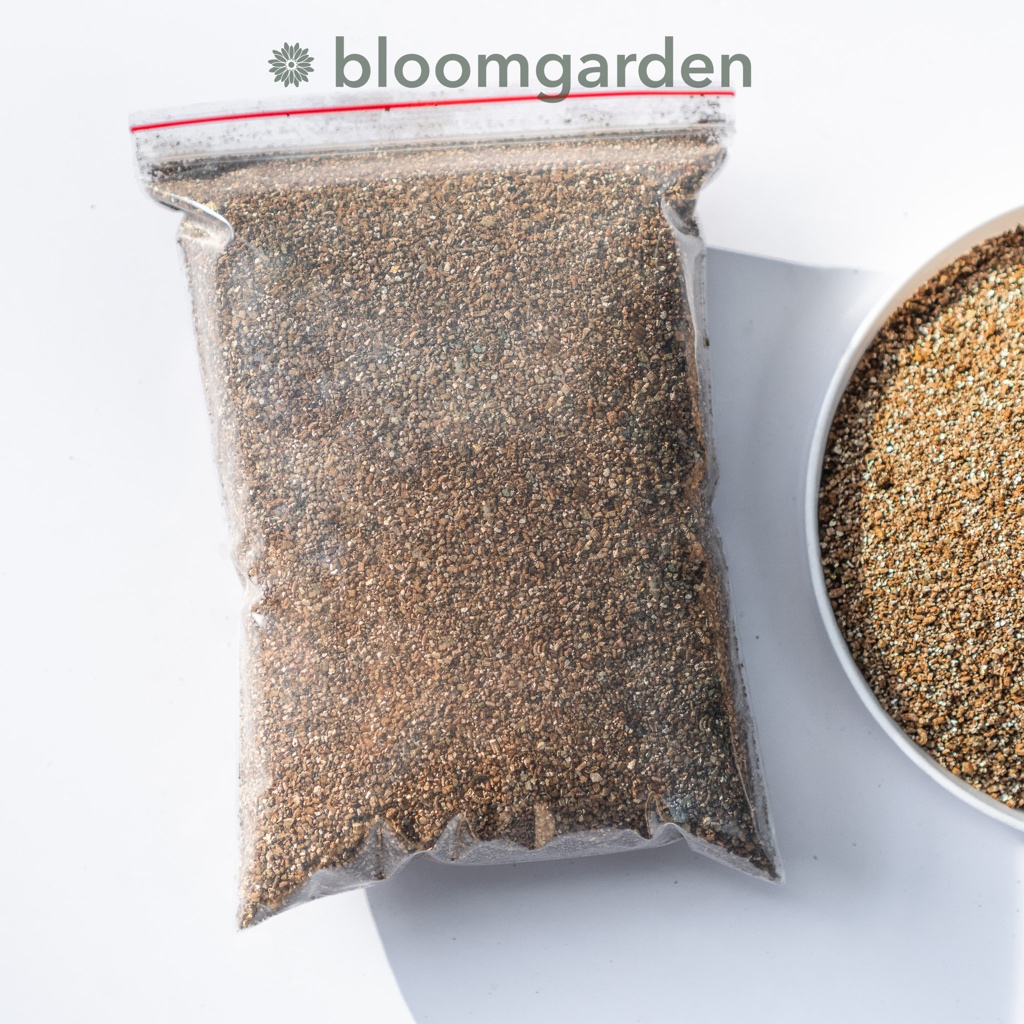 Đá Vermiculite - Giúp sen đá nảy mầm, phát rễ, lên màu | Bloom Garden